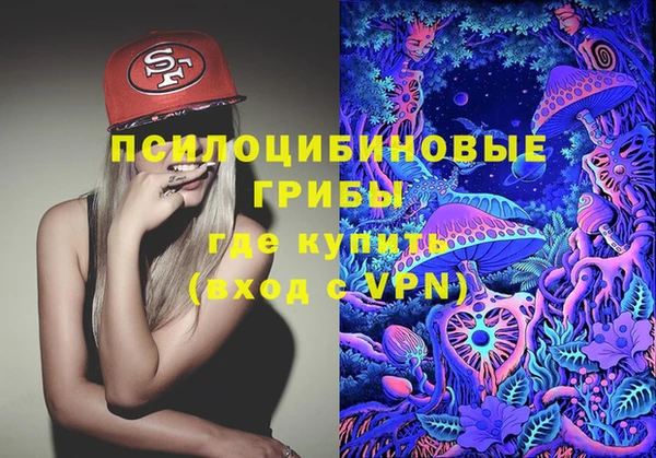 соль ск Балахна