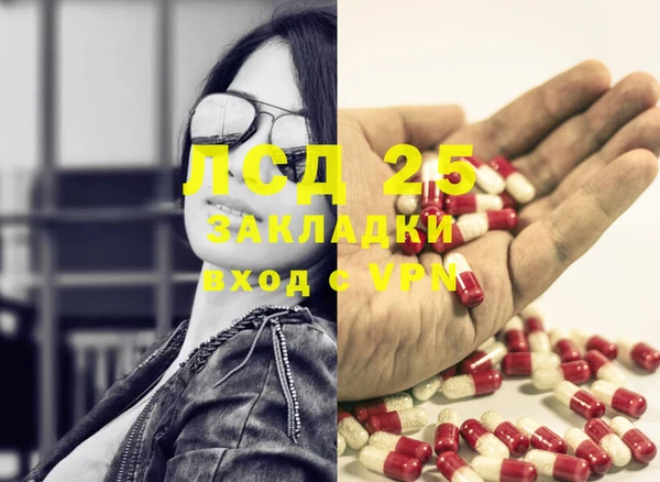 стафф Баксан