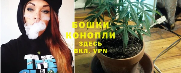 PSILOCYBIN Арсеньев