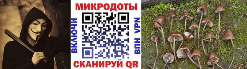 Галлюциногенные грибы Magic Shrooms  mega как зайти  Кирово-Чепецк  купить наркоту 
