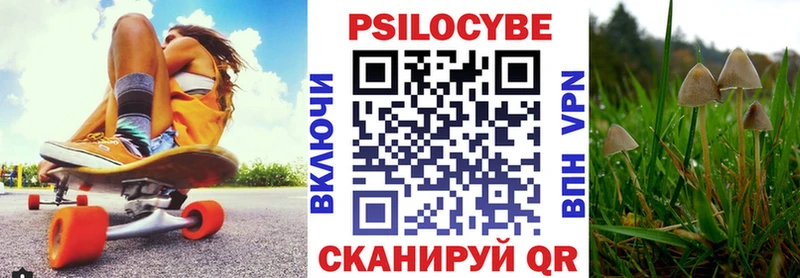 Галлюциногенные грибы Cubensis Кирово-Чепецк