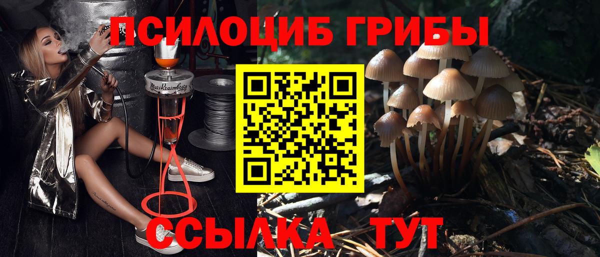 Галлюциногенные грибы прущие грибы Кирово-Чепецк