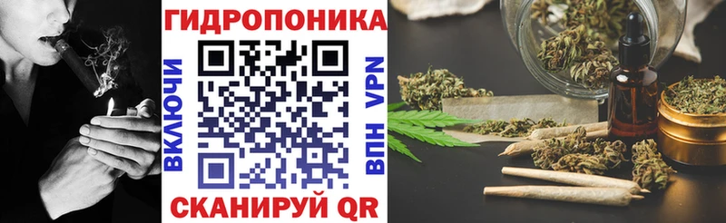 Бошки Шишки план  Кирово-Чепецк 